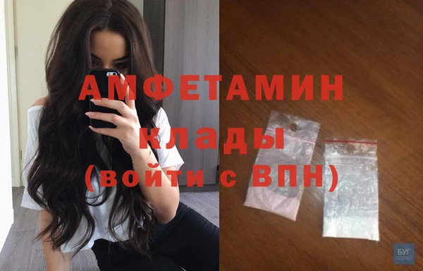 индика Медногорск