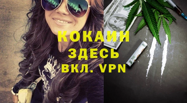 индика Медногорск