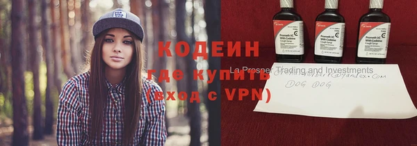 индика Медногорск