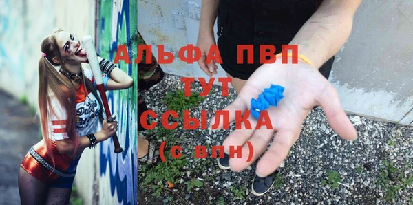 индика Медногорск