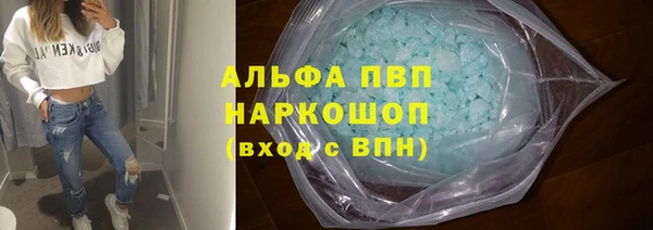 индика Медногорск