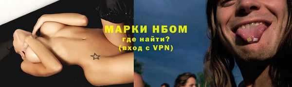 индика Медногорск