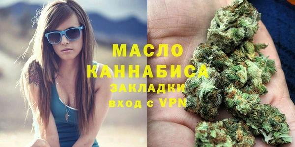 индика Медногорск