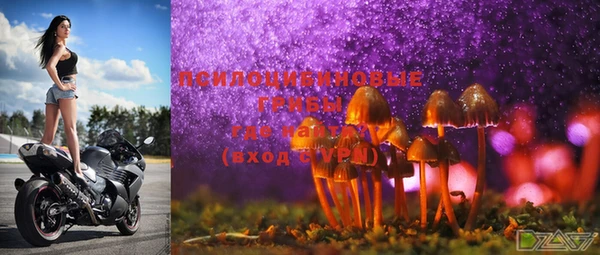 индика Медногорск