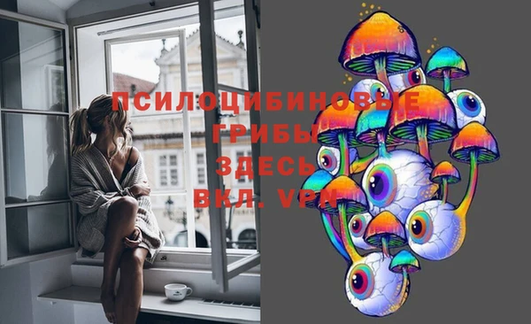 амфетамин Медвежьегорск