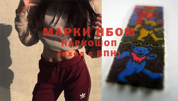 индика Медногорск