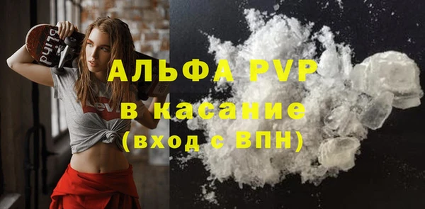 индика Медногорск