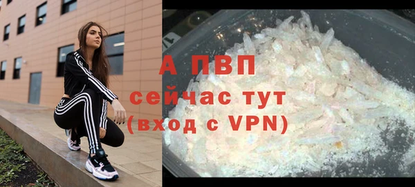 индика Медногорск