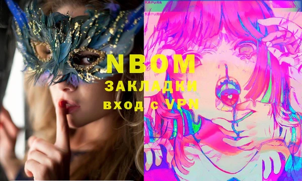 индика Медногорск