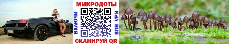 Псилоцибиновые грибы MAGIC MUSHROOMS  Шумиха 